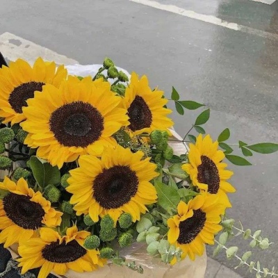 戈登给韦德的扣篮打了9分后说